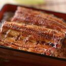 【国産】静岡焼きうなぎ　120g×6食　合計720g