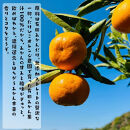 【無添加】有田みかん100%のジュース1,000ml×6本&nbsp;みかんジュース&nbsp;濃厚&nbsp;柑橘&nbsp;果物&nbsp;フルーツ&nbsp;甘い&nbsp;100％ストレートジュース&nbsp;【MS106】