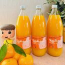 【無添加】有田みかん100%のジュース1,000ml×3本 みかんジュース 濃厚 柑橘 果物 フルーツ 甘い 100％ストレートジュース 【MS105】