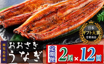 【定期便】おおさきうなぎ鹿児島県産うなぎ長蒲焼2尾（全12回）合計24尾