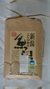 【令和7年】新潟県認証特別栽培米魚沼産しおざわコシヒカリ玄米5kg