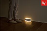 乾電池式LEDセンサーライト&nbsp;ダブルセンサー&nbsp;廊下タイプ　BSL-RWMS