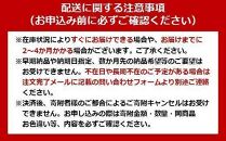 椅子 メッシュバックチェア ハイバック OFC-MBHR ブラック