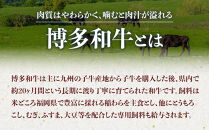 【定期便全12回】博多和牛100％ミンチ（挽肉）【訳あり】900g（300g×3個）