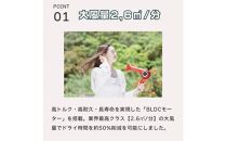 ラディアントヘアドライヤー　ディモア『オフホワイト』