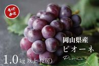 厳選&nbsp;ニューピオーネ&nbsp;2房&nbsp;合計1.0kg以上&nbsp;産地直送&nbsp;朝採れ&nbsp;ぶどう&nbsp;葡萄&nbsp;Kawahara&nbsp;Green&nbsp;Farm&nbsp;岡山県産&nbsp;2026年