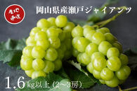 厳選&nbsp;瀬戸ジャイアンツ&nbsp;2～3房&nbsp;合計1.6kg以上&nbsp;産地直送&nbsp;朝採れ&nbsp;ぶどう&nbsp;葡萄&nbsp;Kawahara&nbsp;Green&nbsp;Farm&nbsp;岡山県産&nbsp;2026年