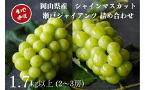 厳選&nbsp;シャインマスカット・瀬戸ジャイアンツ&nbsp;2～3房&nbsp;合計1.7kg以上&nbsp;詰合せ&nbsp;産地直送&nbsp;朝採れ&nbsp;ぶどう&nbsp;葡萄&nbsp;Kawahara&nbsp;Green&nbsp;Farm&nbsp;岡山県産&nbsp;2026年&nbsp;|&nbsp;フルーツ&nbsp;果物&nbsp;くだもの&nbsp;厳選&nbsp;&nbsp;シャインマスカット&nbsp;マスカット&nbsp;瀬戸ジャイアンツ&nbsp;朝採れ&nbsp;ぶどう&nbsp;ブドウ&nbsp;葡萄&nbsp;詰め合わせ&nbsp;セット&nbsp;フルーツ詰め合わせ&nbsp;産地直送&nbsp;岡山&nbsp;岡山県産&nbsp;国産&nbsp;ギフト&nbsp;プレゼント&nbsp;贈答用&nbsp;果物&nbsp;果物セット&nbsp;フルーツセット&nbsp;シャインマスカット&nbsp;葡萄&nbsp;ぶどう&nbsp;ブドウ