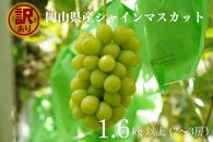 家庭用&nbsp;シャインマスカット&nbsp;2～3房&nbsp;合計1.6kg以上&nbsp;産地直送&nbsp;朝採れ&nbsp;ぶどう&nbsp;葡萄&nbsp;シャイン&nbsp;マスカット&nbsp;岡山&nbsp;Kawahara&nbsp;Green&nbsp;Farm　岡山県産&nbsp;2026年&nbsp;|&nbsp;フルーツ&nbsp;果物&nbsp;くだもの&nbsp;訳あり&nbsp;シャインマスカット&nbsp;マスカット&nbsp;朝採れ&nbsp;ぶどう&nbsp;ブドウ&nbsp;葡萄&nbsp;産地直送&nbsp;岡山&nbsp;岡山県産&nbsp;国産&nbsp;果物&nbsp;訳あり&nbsp;フルーツ&nbsp;シャインマスカット&nbsp;葡萄&nbsp;ぶどう&nbsp;ブドウ&nbsp;マスカット