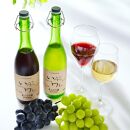 井筒ワイン 酸化防止剤無添加 井筒 果汁発酵生ワイン 赤・白 720ml 2本セット 発売元 株式会社片山