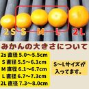 有田みかん&nbsp;早生S〜Lサイズ混合&nbsp;約20kg