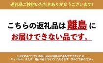 【定期便・8本×6か月連続お届け】West&nbsp;Coast&nbsp;Brewing&nbsp;クラフトビール（500mL缶）お楽しみ8本(8種)セット【お酒・地ビール・酒】【配達不可：離島】