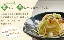 スプラウトにんにく&nbsp;8片　国産ホワイト六片使用、無農薬、水耕栽培