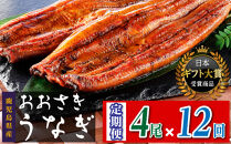 【定期便】おおさきうなぎ鹿児島県産うなぎ長蒲焼4尾（全12回）合計48尾