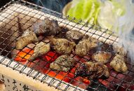 【博多大丸おすすめ品】はかた地どり　炭火焼セット100g×5