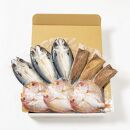 【博多大丸おすすめ品】「ウエダ」海鮮干物3種9枚セット