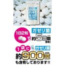 【2個セット】たっぷり大容量約半年分ガセリ菌サプリメント 360粒