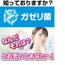 【2個セット】たっぷり大容量約半年分ガセリ菌サプリメント 360粒