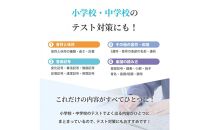 学習ポスター　音楽の表【B3＋A4&nbsp;2枚セット】