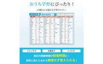 学習ポスター　英語　中学一年　基本の英単語【A4ユポ紙8枚＋A4コート紙8枚セット】