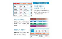 学習ポスター　英語　中学一年　基本の英単語【A4ユポ紙8枚＋A4コート紙8枚セット】