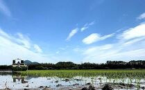 【令和7年産新米】中道農園 有機栽培 きらみずき 優 白米 10kg 防災備蓄にも便利！真空包装で長期保存可能｜オーガニック JAS認証｜農薬不使用・化学肥料不使用｜ふるさと納税 滋賀県野洲市