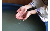 うだ薬湯の宿 やたきや 宿泊利用券 150,000円分