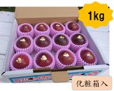 【2025年夏発送】パッションフルーツ (1kg12個入り化粧箱入) 2025年6月～出荷開始 リリコイ 南国フルーツ デザート 人気 鹿児島県  与論町　