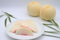 【2025年発送】岡山白桃・晩生（ご家庭用）約１．９ｋｇ（６～９玉入り）