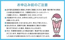 【2025年発送】岡山白桃・晩生（ご家庭用）約１．９ｋｇ（６～９玉入り）