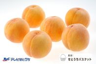  GK21 [2025年発送]黄金桃(ご家庭用)約1.9kg(6〜9玉入り)[黄金桃 桃 もも モモ 家庭用 フルーツ 人気フルーツ 果物 人気 果物 岡山県 倉敷市 おすすめ 人気]