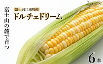 ＜2025年8月～9月発送＞富士河口湖町産Inakakara「ドルチェドリーム」6本 ×【富士河口湖地ビール】富士桜高原麦酒（ピルス4本セット）金賞クラフトビール