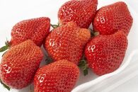 【2027年1月～2月出荷予定】完熟&nbsp;あまおう&nbsp;イチゴ&nbsp;280g×4パック(約1120g)＜配送不可：北海道、沖縄県、離島＞