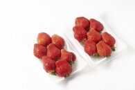 【2026年1月～3月出荷予定】完熟&nbsp;大粒&nbsp;あまおう&nbsp;イチゴ&nbsp;280g×2パック(約560g)＜配送不可：北海道、沖縄県、離島＞