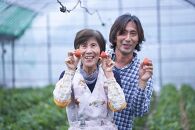 【2026年1月～3月出荷予定】完熟&nbsp;大粒&nbsp;あまおう&nbsp;イチゴ&nbsp;280g×2パック(約560g)＜配送不可：北海道、沖縄県、離島＞