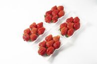 【2026年1月～3月出荷予定】完熟&nbsp;大粒&nbsp;あまおう&nbsp;イチゴ&nbsp;280g×4パック(約1120g)＜配送不可：北海道、沖縄県、離島＞