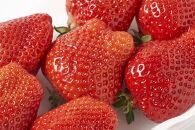 【2026年1月～3月出荷予定】完熟&nbsp;大粒&nbsp;あまおう&nbsp;イチゴ&nbsp;280g×4パック(約1120g)＜配送不可：北海道、沖縄県、離島＞