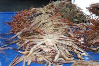 【魚倉】タグ付き生松葉ガニ(大800ｇ)｜国産&nbsp;タグ付き&nbsp;ズワイガニ&nbsp;松葉ガニ&nbsp;カニ&nbsp;蟹&nbsp;かに&nbsp;生&nbsp;カニ鍋&nbsp;かに鍋&nbsp;鍋&nbsp;かにしゃぶ&nbsp;かにみそ&nbsp;期間限定&nbsp;送料無料&nbsp;鳥取県&nbsp;三朝町