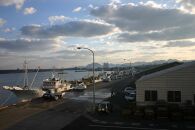 【魚倉】タグ付き生松葉ガニ(大800ｇ)｜国産&nbsp;タグ付き&nbsp;ズワイガニ&nbsp;松葉ガニ&nbsp;カニ&nbsp;蟹&nbsp;かに&nbsp;生&nbsp;カニ鍋&nbsp;かに鍋&nbsp;鍋&nbsp;かにしゃぶ&nbsp;かにみそ&nbsp;期間限定&nbsp;送料無料&nbsp;鳥取県&nbsp;三朝町