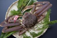 【先行予約】【魚倉】タグ付き生松葉ガニ(並５００ｇ)