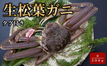 【魚倉】タグ付き生松葉ガニ(並５００ｇ)｜国産&nbsp;タグ付き&nbsp;ズワイガニ&nbsp;松葉ガニ&nbsp;カニ&nbsp;蟹&nbsp;かに&nbsp;生&nbsp;カニ鍋&nbsp;かに鍋&nbsp;鍋&nbsp;かにしゃぶ&nbsp;かにみそ&nbsp;期間限定&nbsp;送料無料&nbsp;鳥取県&nbsp;三朝町
