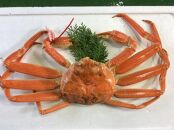 【先行予約】【魚倉】タグ付きボイル松葉ガニ(大800ｇ)