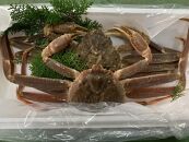 【先行予約】【魚倉】訳あり生松葉ガニ２枚セット