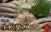 【魚倉】訳あり生松葉ガニ２枚セット｜国産&nbsp;訳あり&nbsp;ズワイガニ&nbsp;松葉ガニ&nbsp;カニ&nbsp;蟹&nbsp;かに&nbsp;生&nbsp;カニ鍋&nbsp;かに鍋&nbsp;鍋&nbsp;かにしゃぶ&nbsp;かにみそ&nbsp;期間限定&nbsp;送料無料&nbsp;鳥取県&nbsp;三朝町