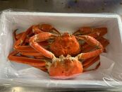 【先行予約】【魚倉】訳ありボイル松葉ガニ２枚セット