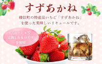 北海道産いちごリキュール　EMAWRI　300ml×1本