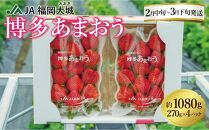 ★先行予約★いちごの王様 福岡県産博多あまおう270g×4パック【2026年2月中旬～3月順次出荷予定】
