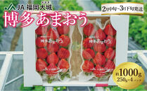 ★先行予約★いちごの王様&nbsp;福岡県産博多あまおう250g×4パック【2027年2月中旬～3月順次出荷予定】