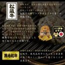 【ふるさと納税】【食べ比べ豪華セット】 松阪牛 ＆ 鹿児島黒牛 ＆ 黒毛和牛 100% ハンバーグ パティ 130g×6パック(各2パック)  トリュフソース付