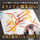 数量限定&nbsp;国産うなぎ&nbsp;白焼き（長焼き）120g程度×2本　＜オリジナル御朱印付き＞　&nbsp;|&nbsp;明治５年創業の老舗名店&nbsp;わさび付き&nbsp;国産養殖うなぎ&nbsp;栃木県&nbsp;栃木市